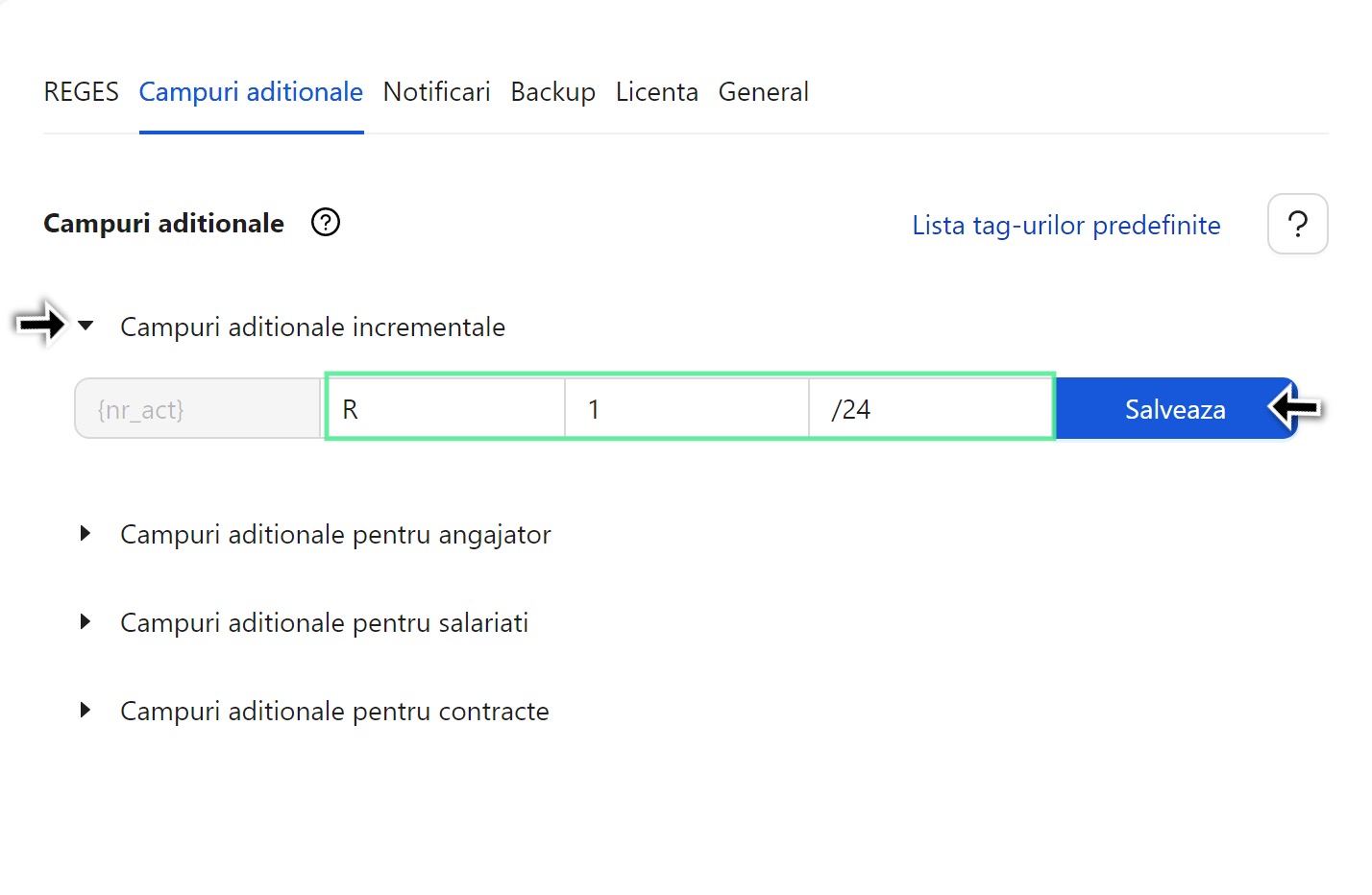 Campuri aditionale incrementale pentru mentinerea numarului alocat documentelor generate de Revisal Plus