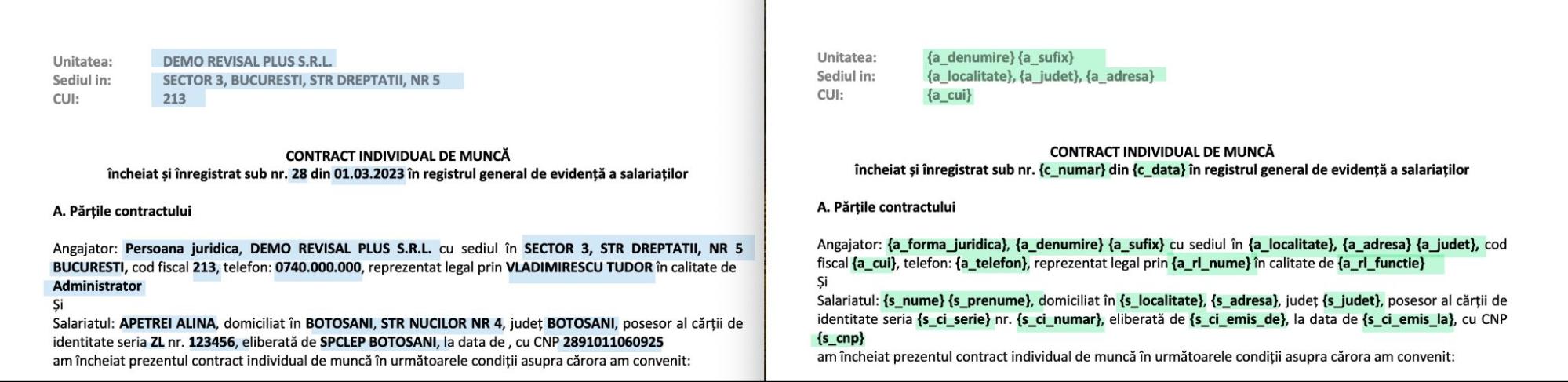 Completarea documentelor Revisal Plus cu ajutorul tag-urilor si campurilor aditionale