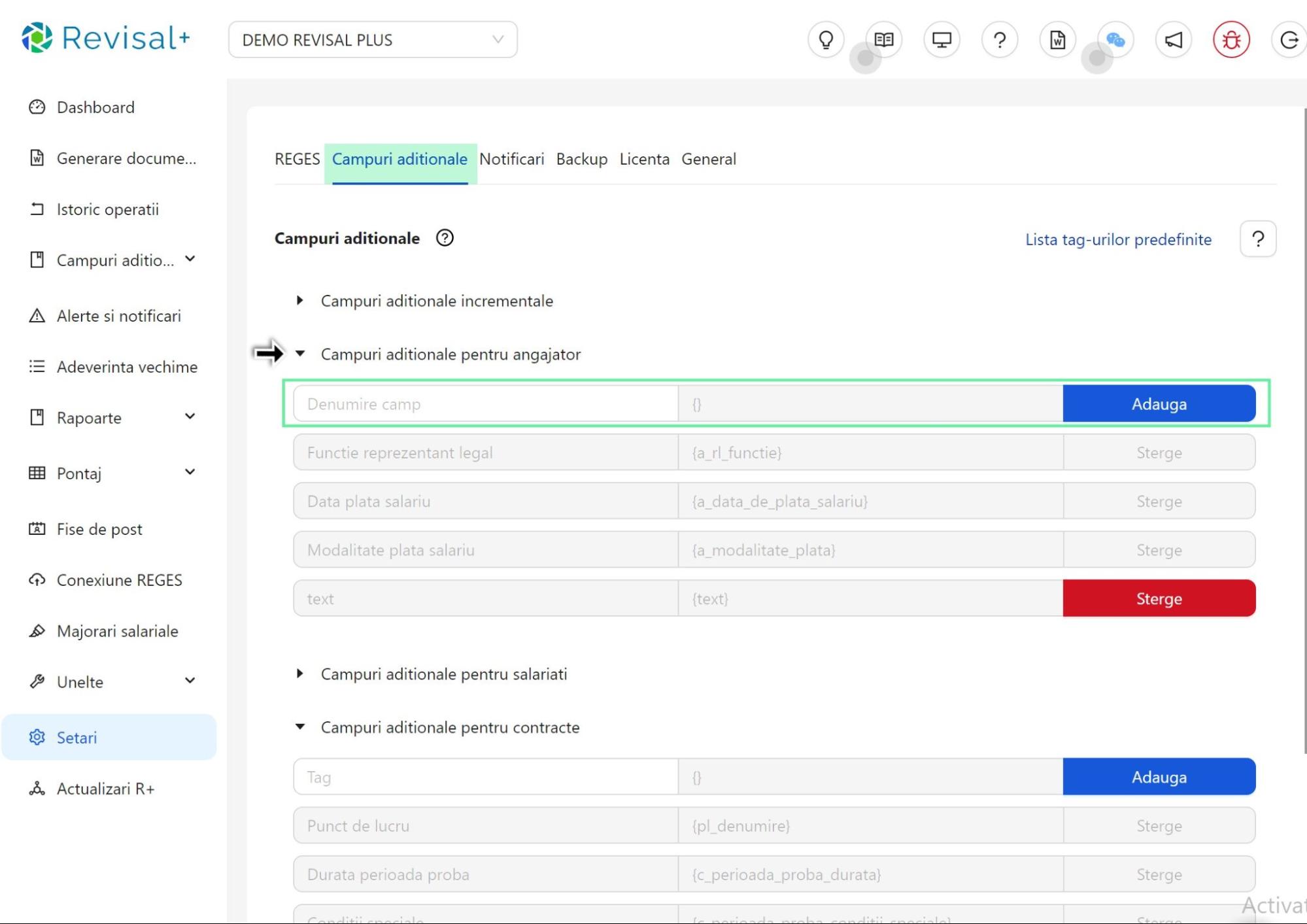 Definirea campurilor aditionale pentru a stoca informatii suplimentare referitoare la angajatori, salariati si contracte in Revisal Plus